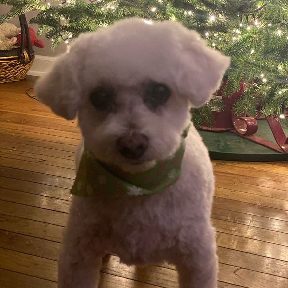 chrissojaded
